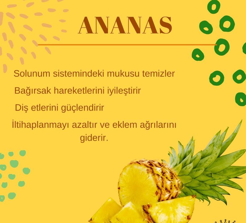 Zeynep Cemre Özolcay-2