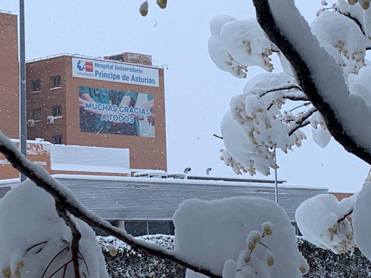 Eulogio Benito Martín-9