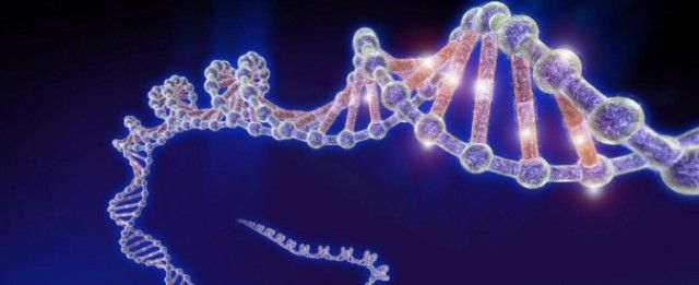 Francesco Sonzogni-88