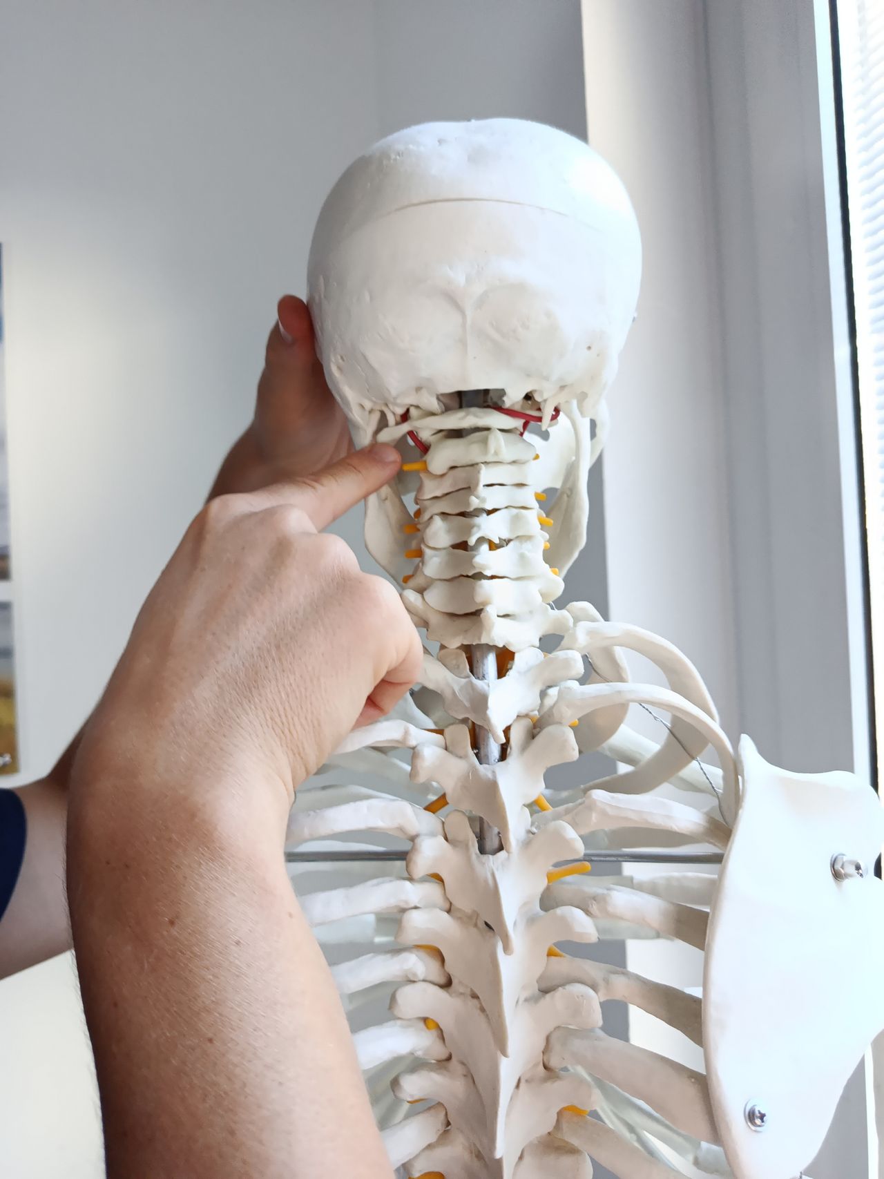 Giovanni Bianchini-7