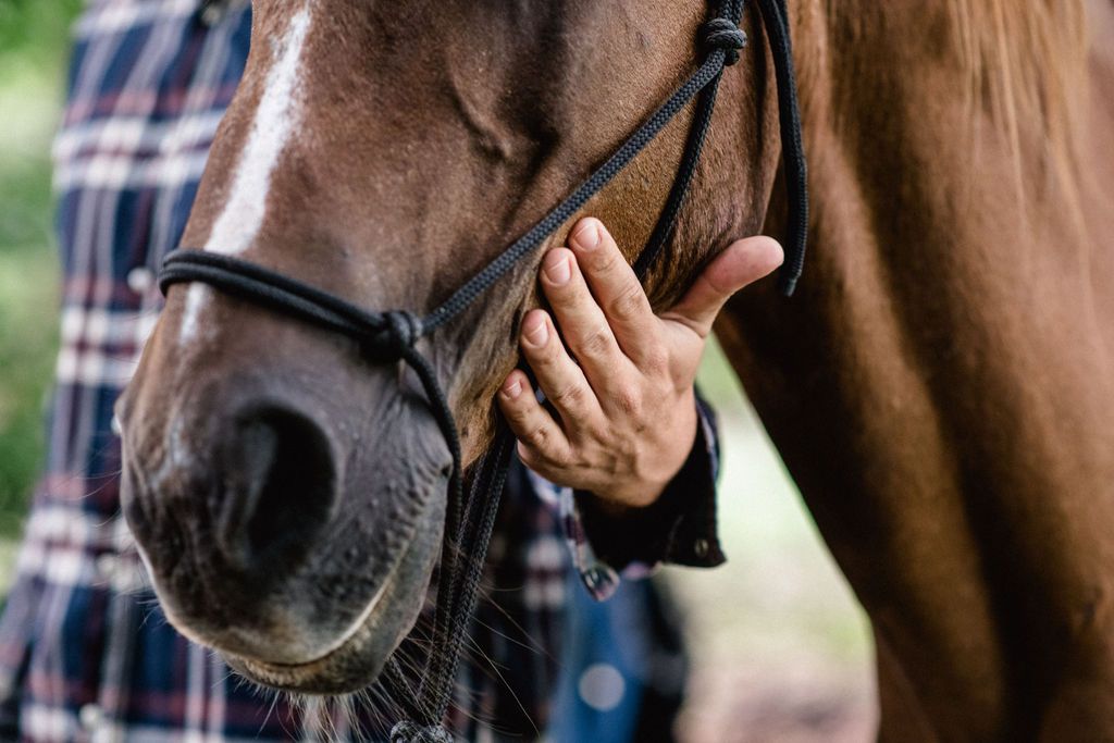 Martina Kammerlander-Fischer-3