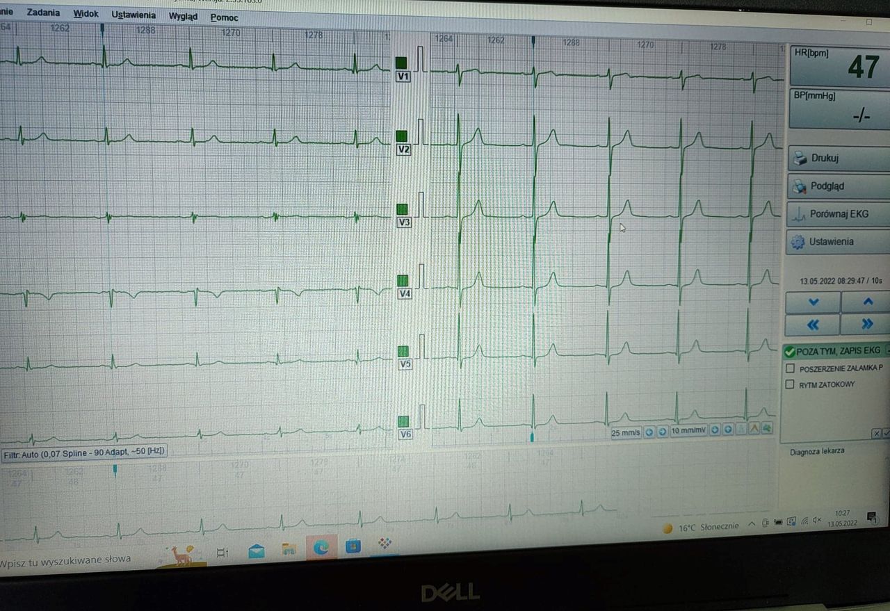 Katarzyna Kogut-Dębska-4