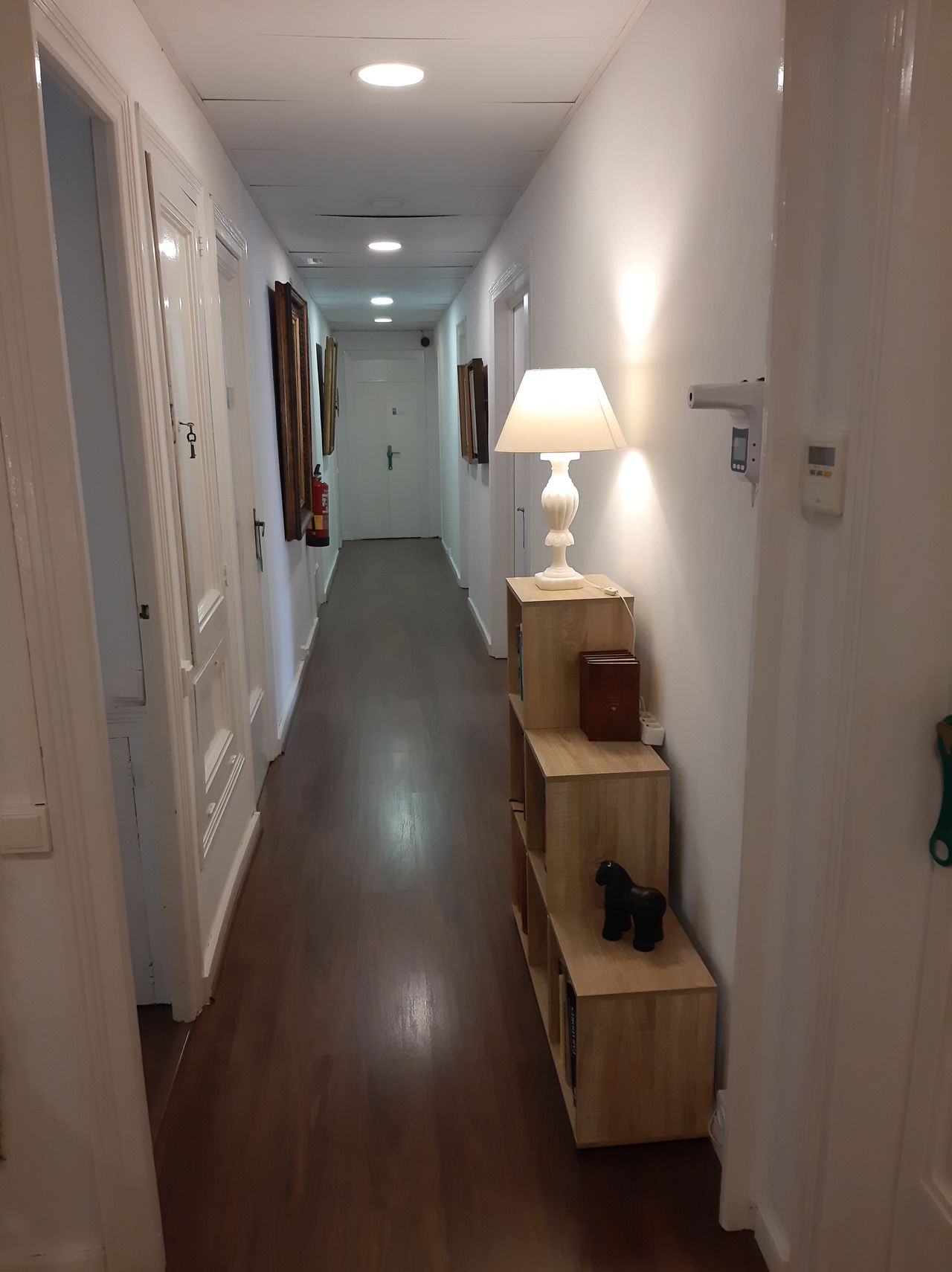 Lidia Viana Catalán-1