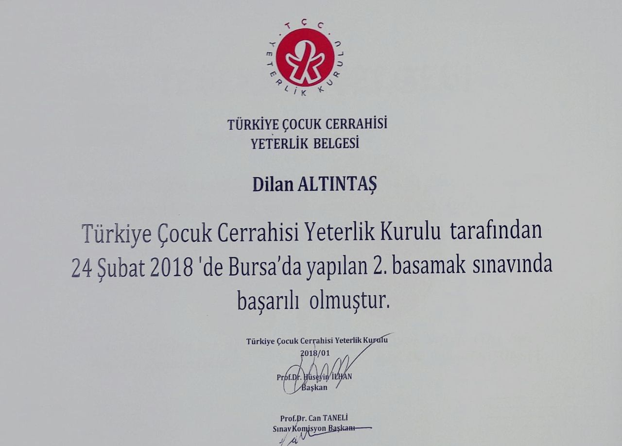 Dilan Altıntaş Ural-1