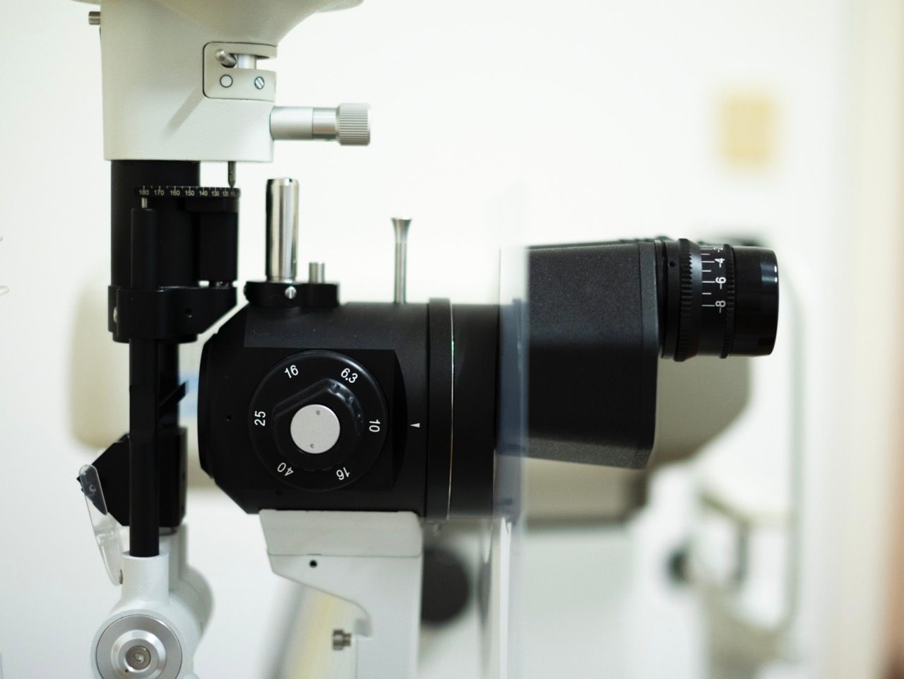 Chiara De Giacinto-1