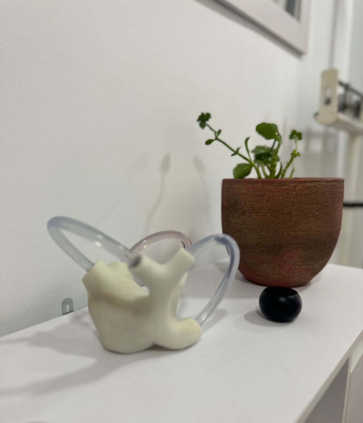 Alba Vázquez Lopez-2