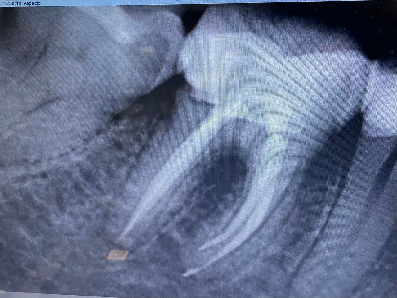 Marizel Ospitia Beltrán-1