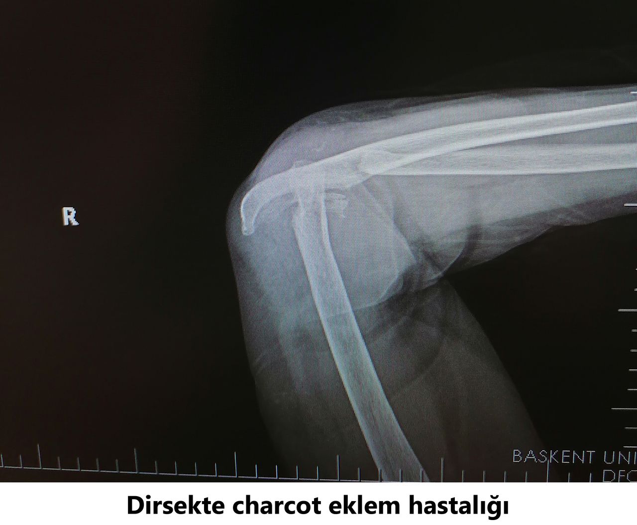 Javid M. Azarabadı-3