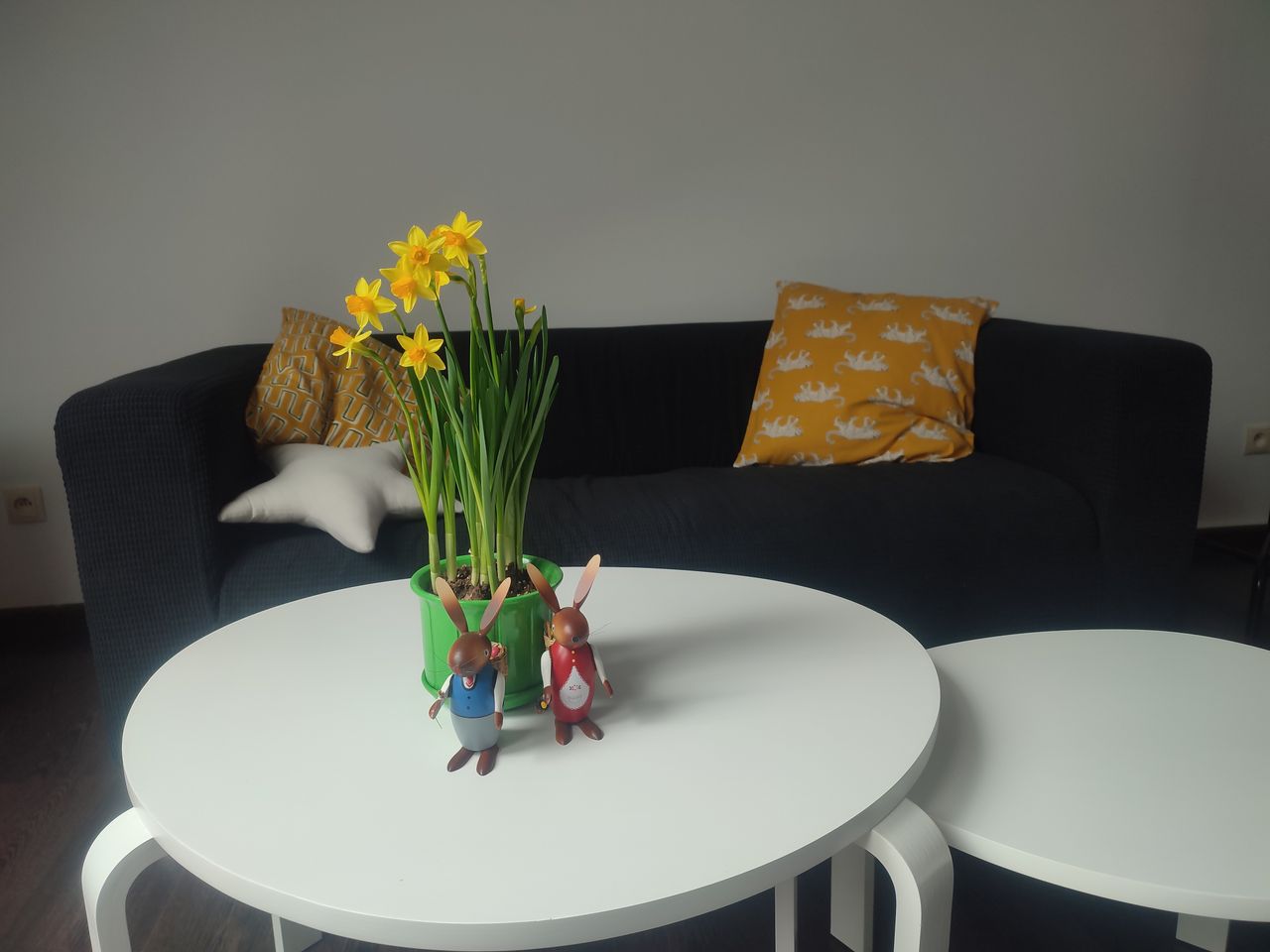 Joanna Adamiec-Molenda-2