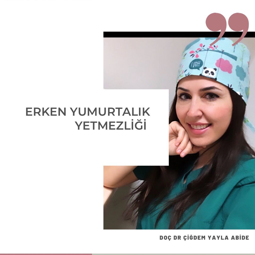 Çiğdem Yayla Abide-7