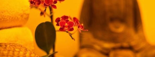 Horst Vogt - Privatpraxis-2