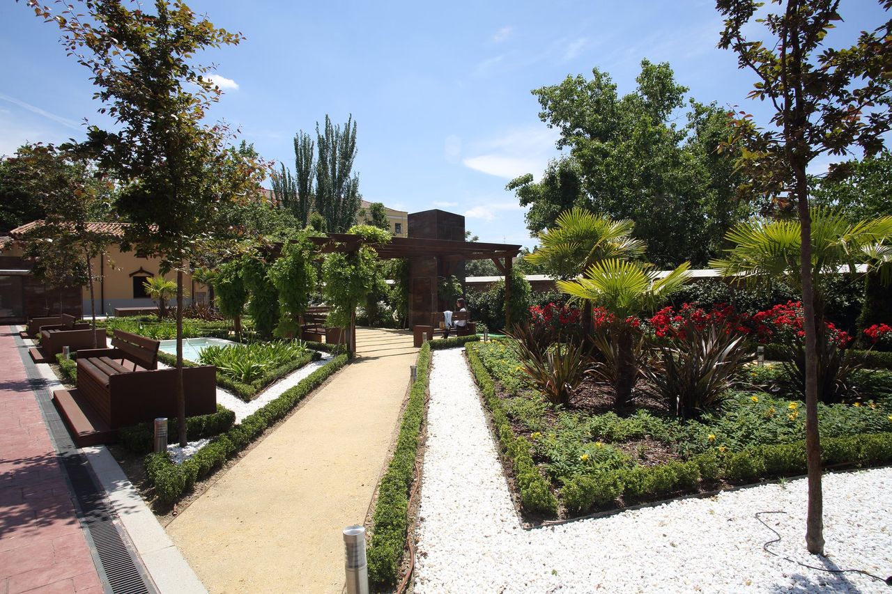 Rosangela Obregón Reina-4