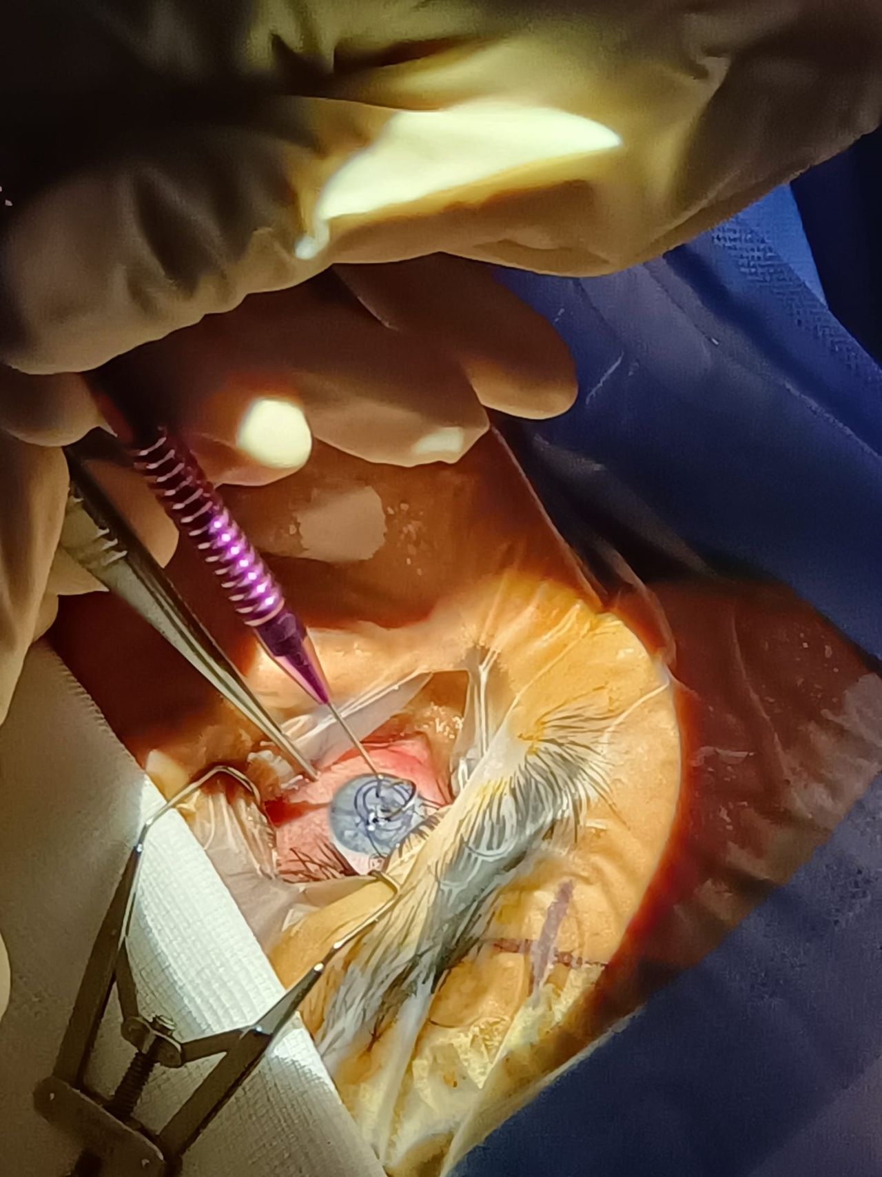 Maria Emanuela Toro-3