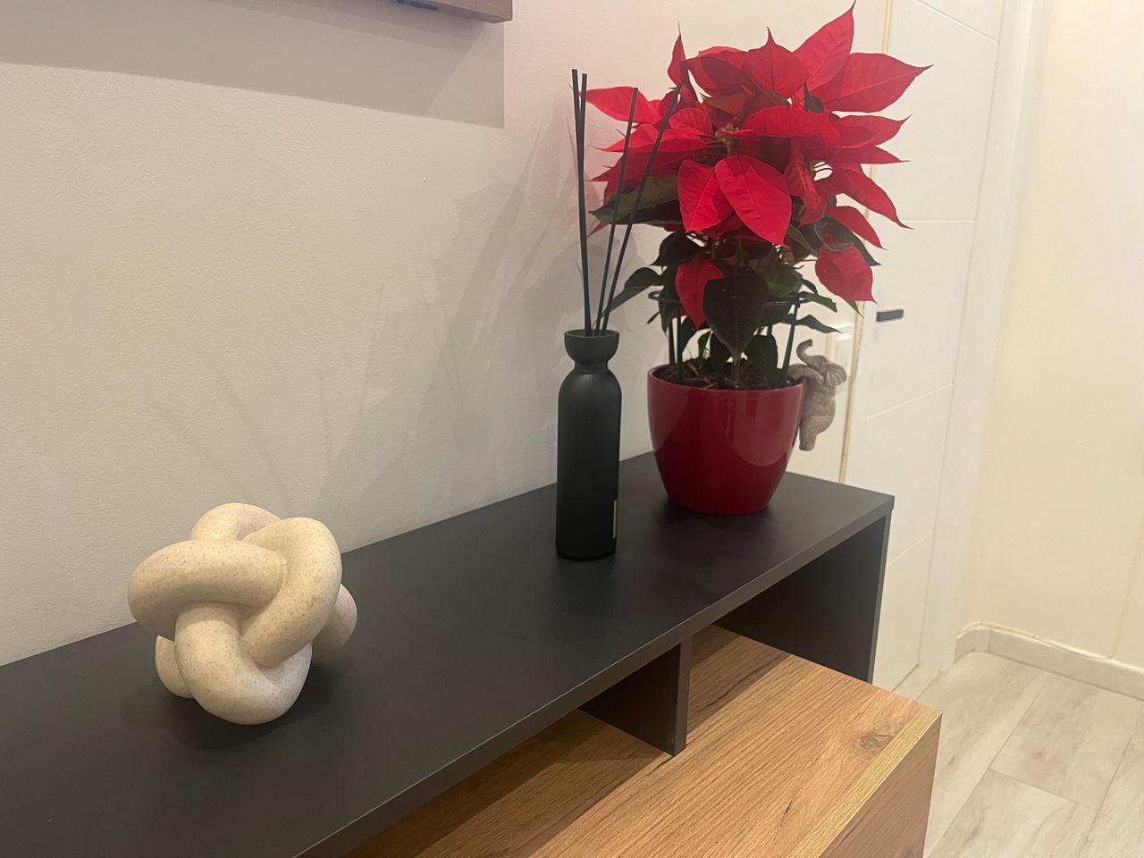 Danaé Varona Prior-1