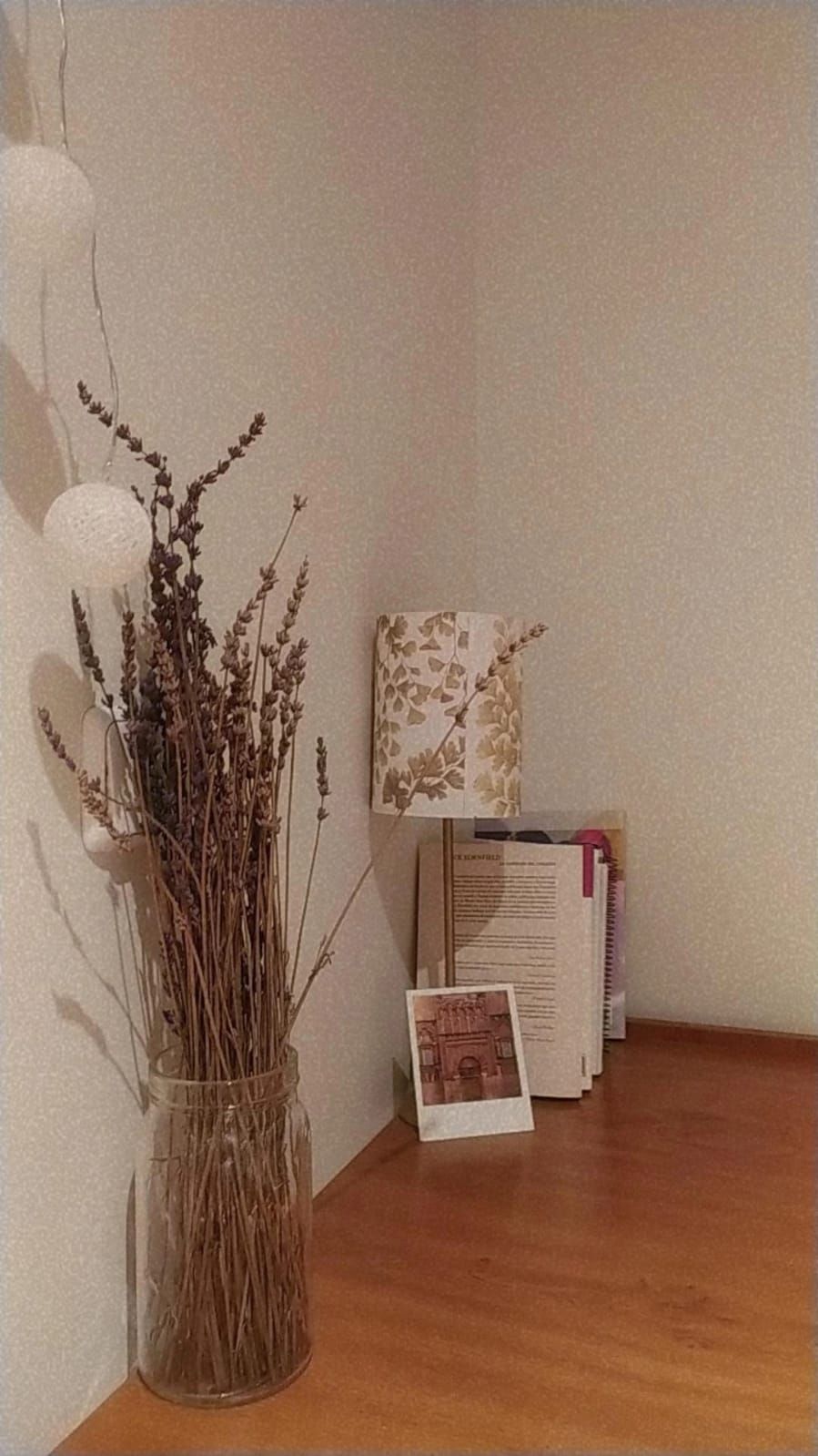 Jone Paguey Alberdi-24