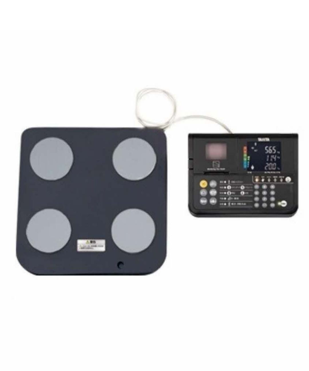 Federica Calicchia-10