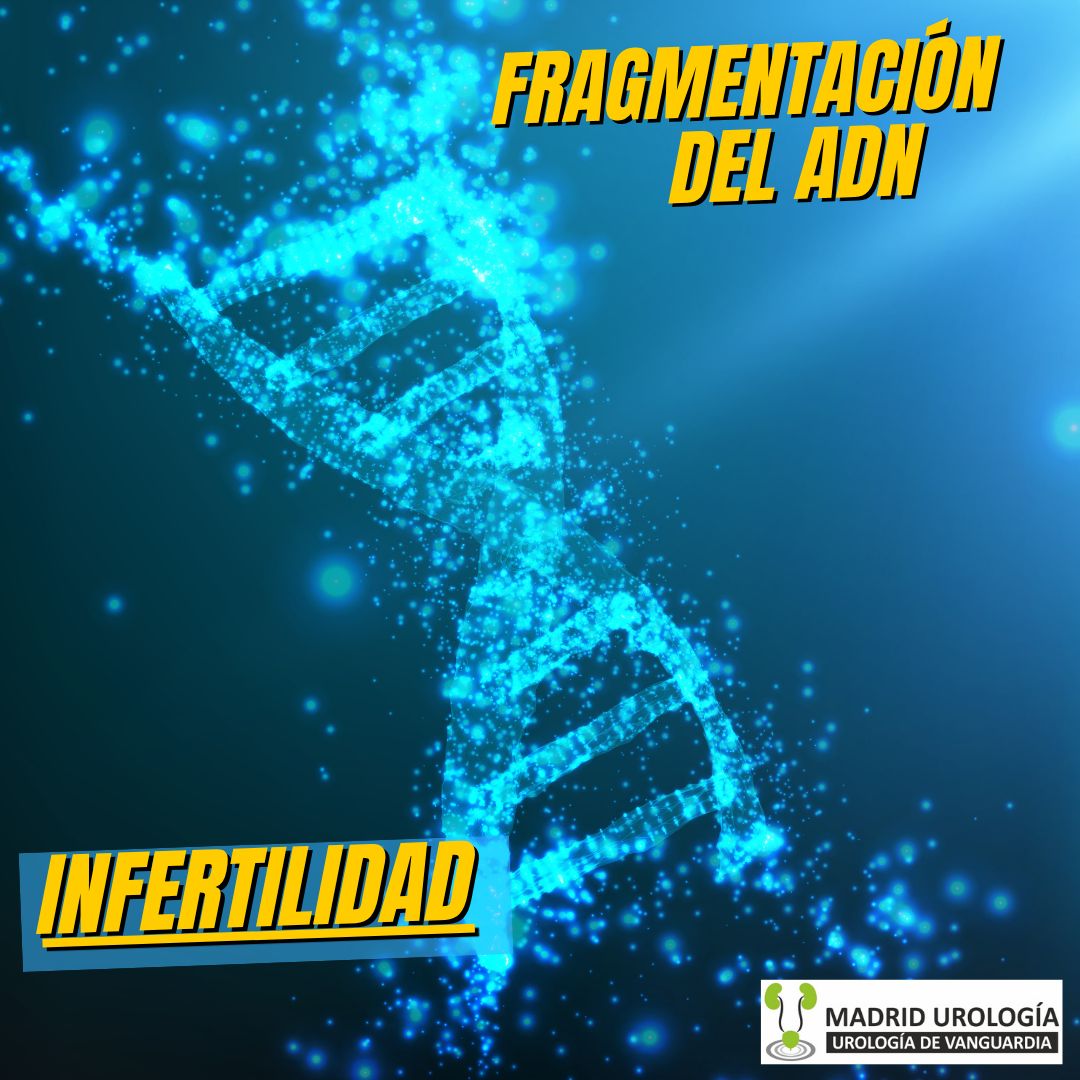 Luis Fernando Susaníbar Napurí-85