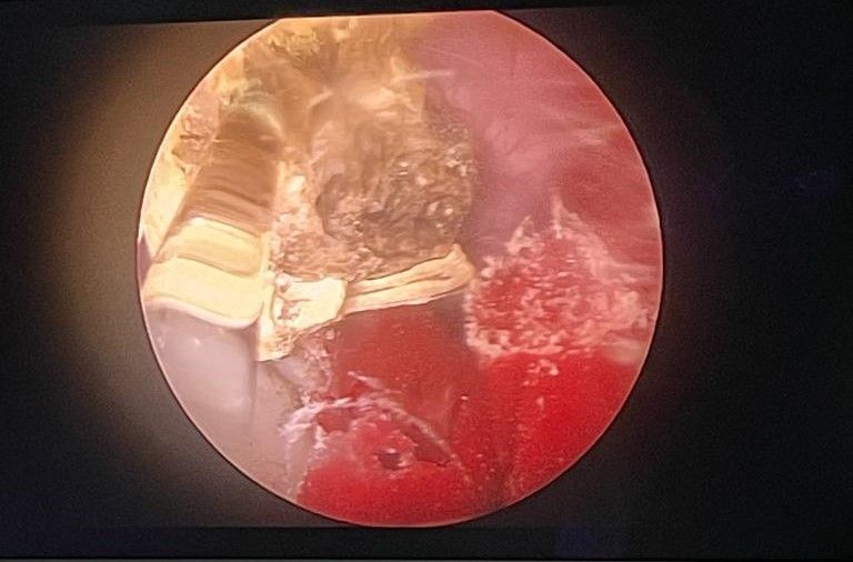 Francisco Gutiérrez Tejero-5