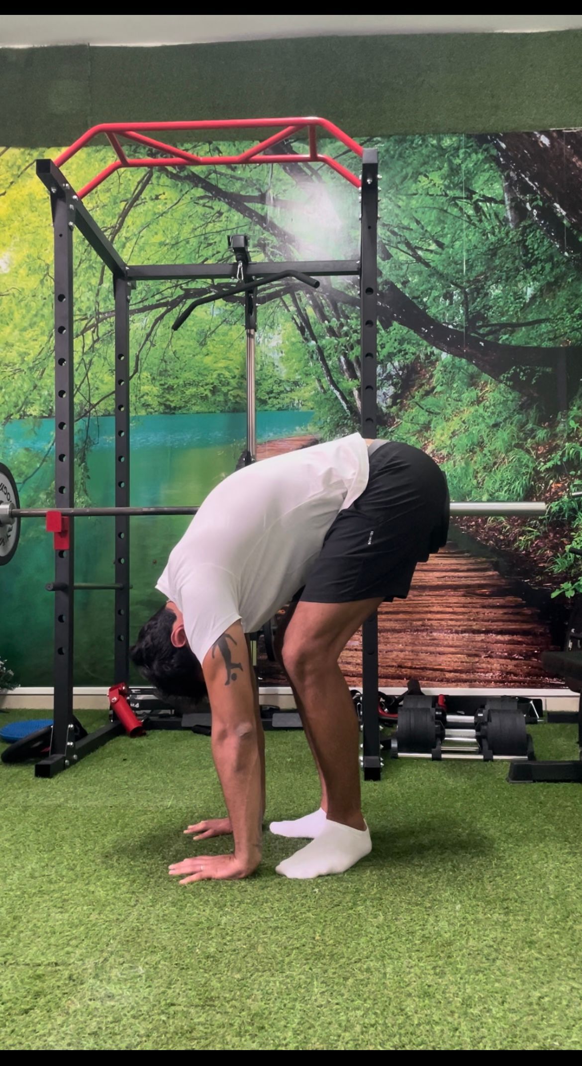 Salvatore Fortunato-18