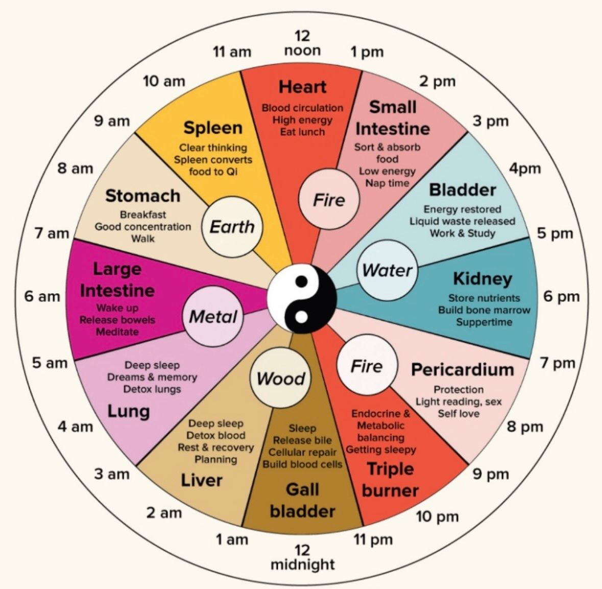 Verónica García Rubio-8