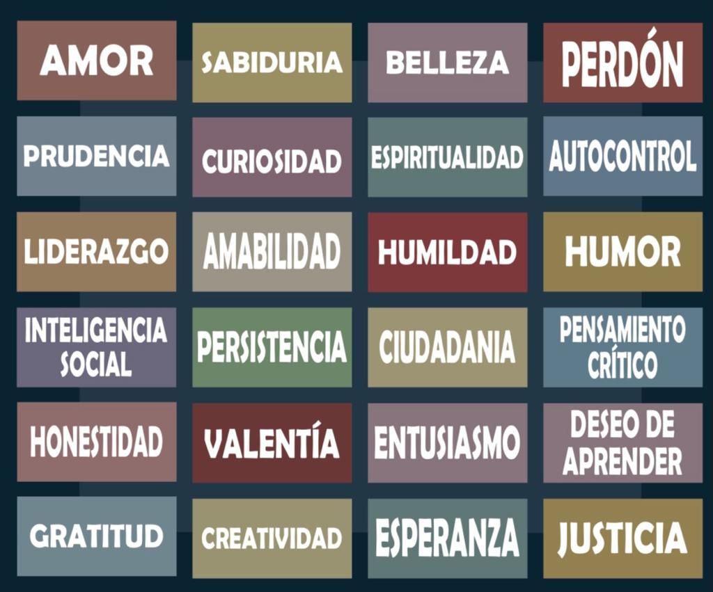 Fran Castillo Tienda-8