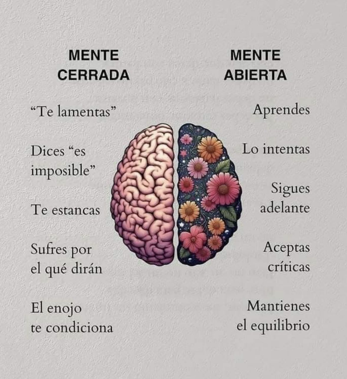 Silvia Schoffer Kraut-2