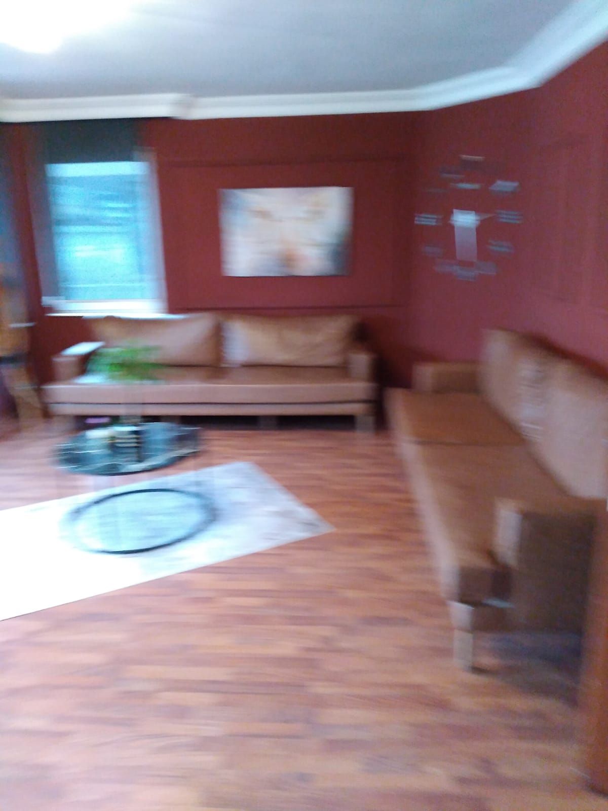 Melek Sarıçiçek-37