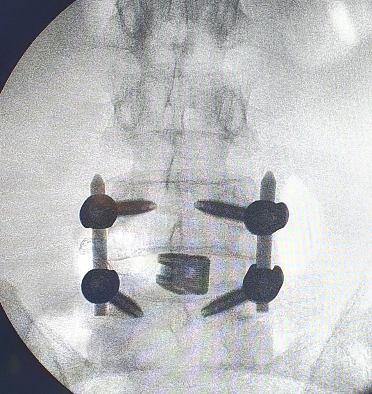 Alessandro Borderi-20