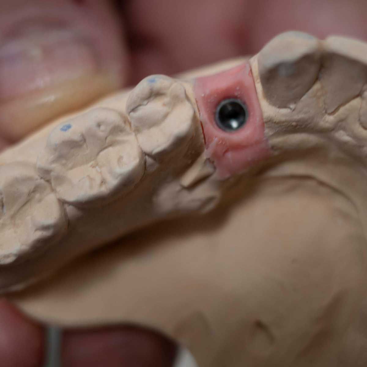 Gianluigi Bittante-16