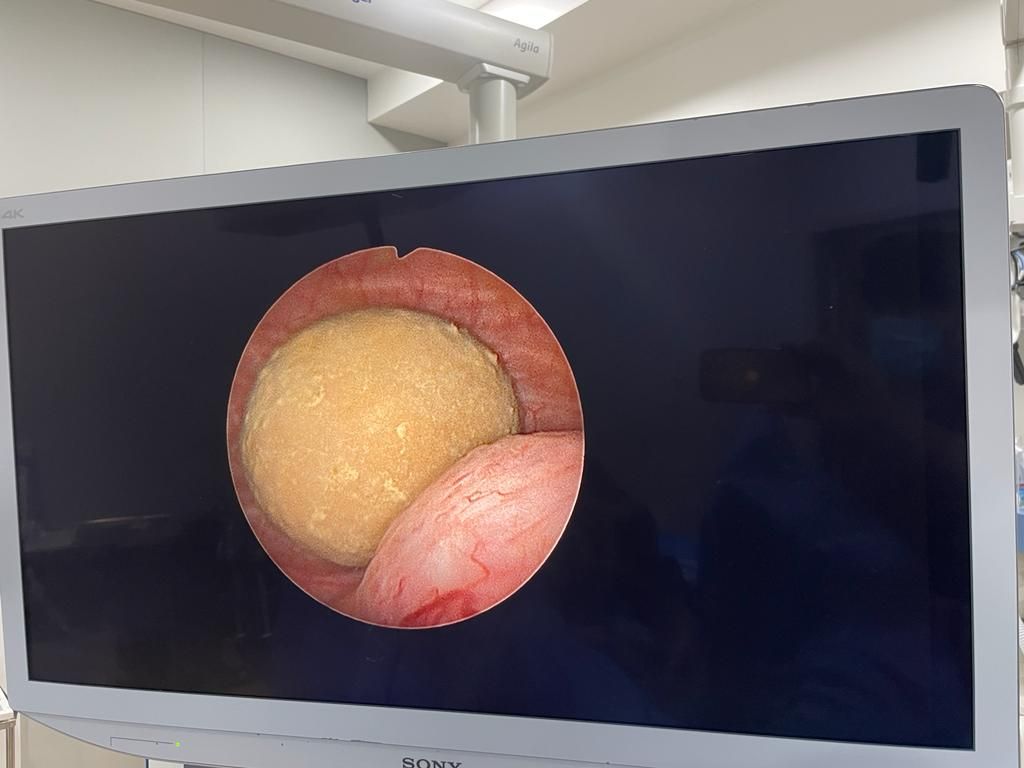 Francisco Gutiérrez Tejero-0