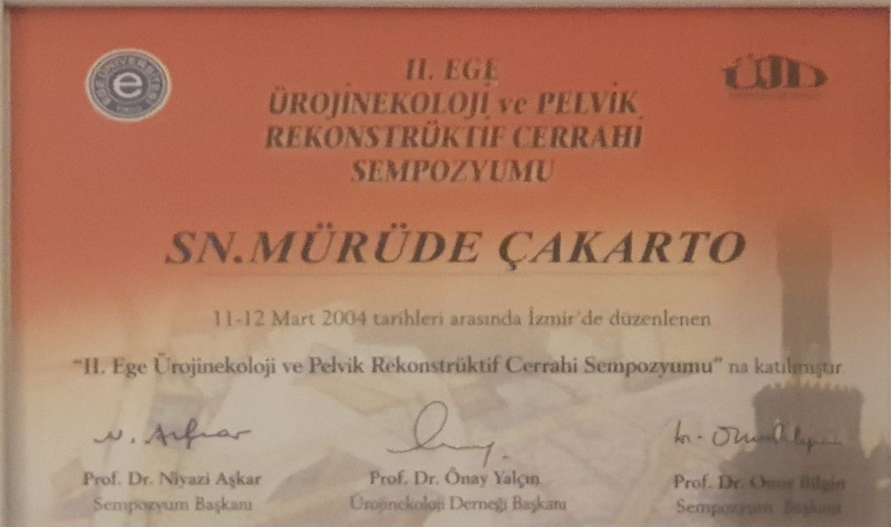 Mürüde Çakartaş Dağdelen-0