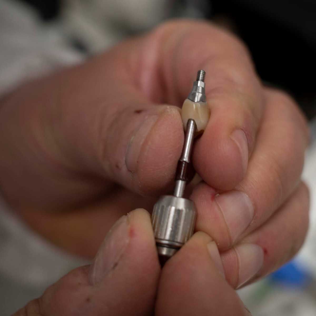 Gianluigi Bittante-14