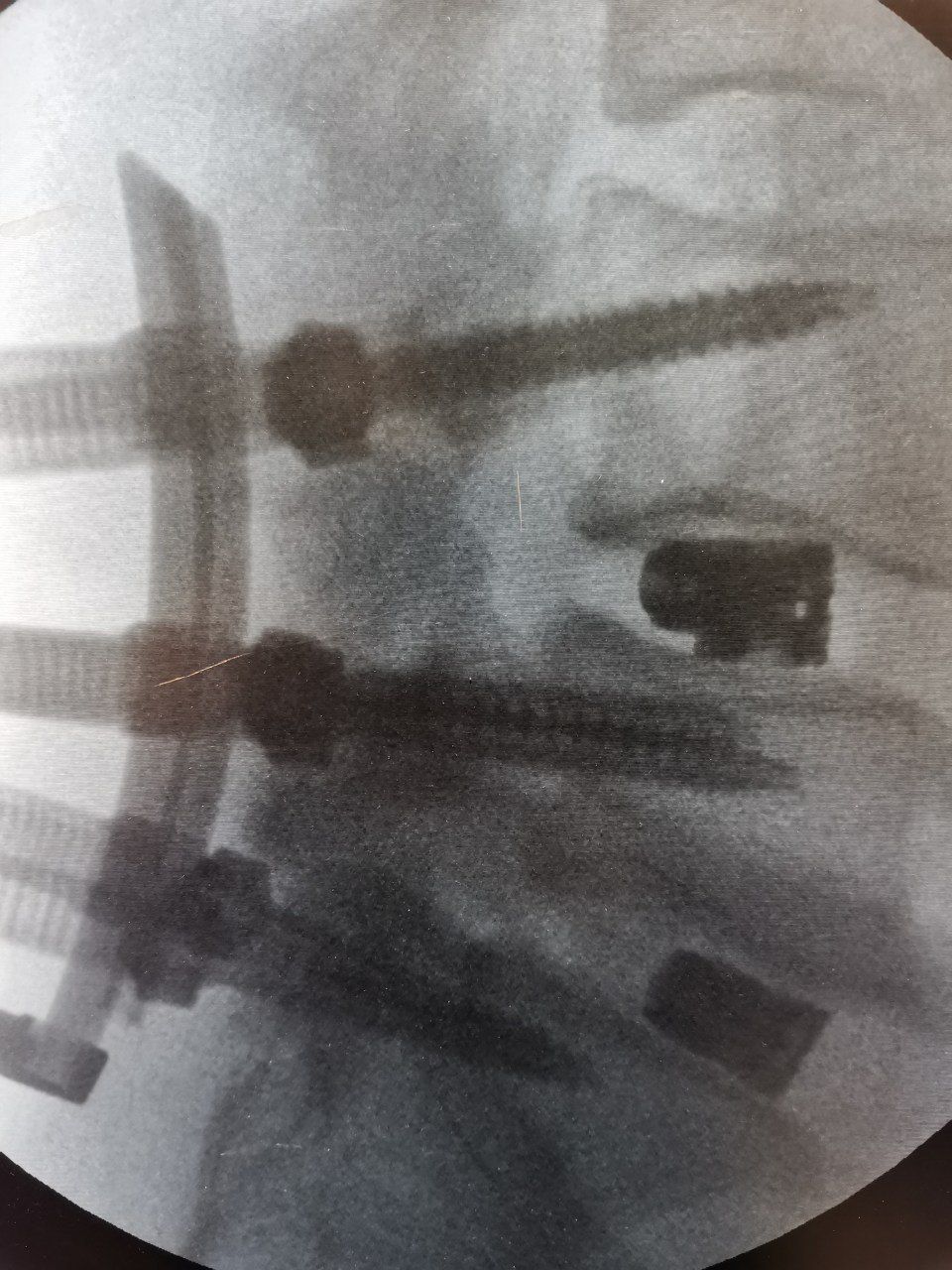 Alessandro Di Bartolomeo-5