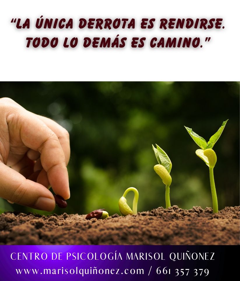 Marisol Quiñonez Quintero-34