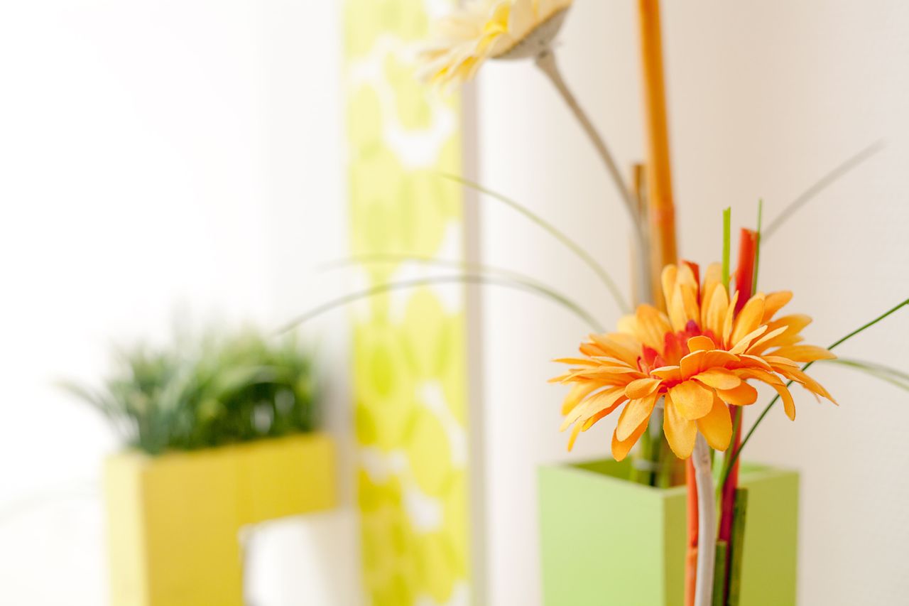 Simone Bodenhausen-3