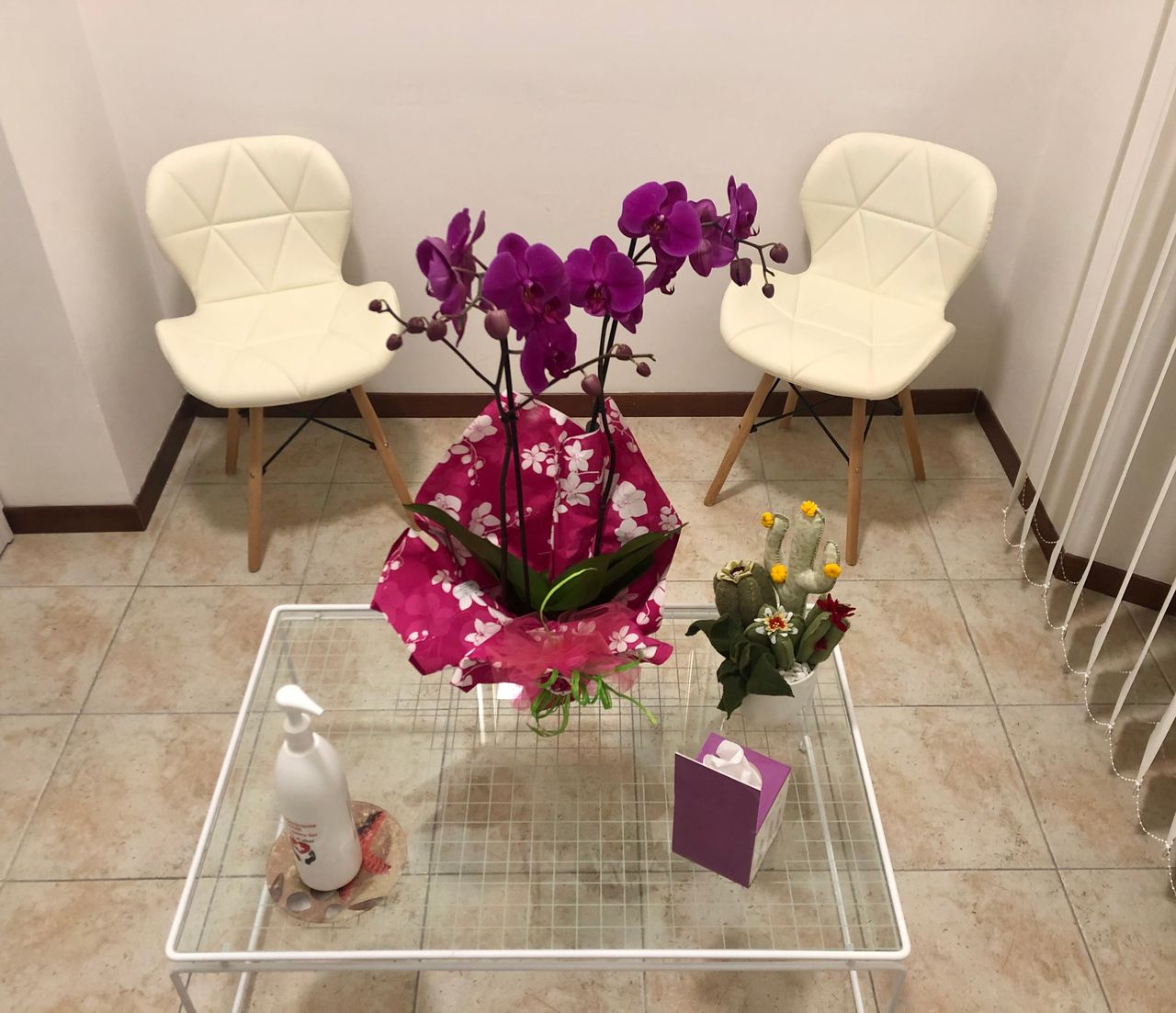 Tommaso Bianchelli-0