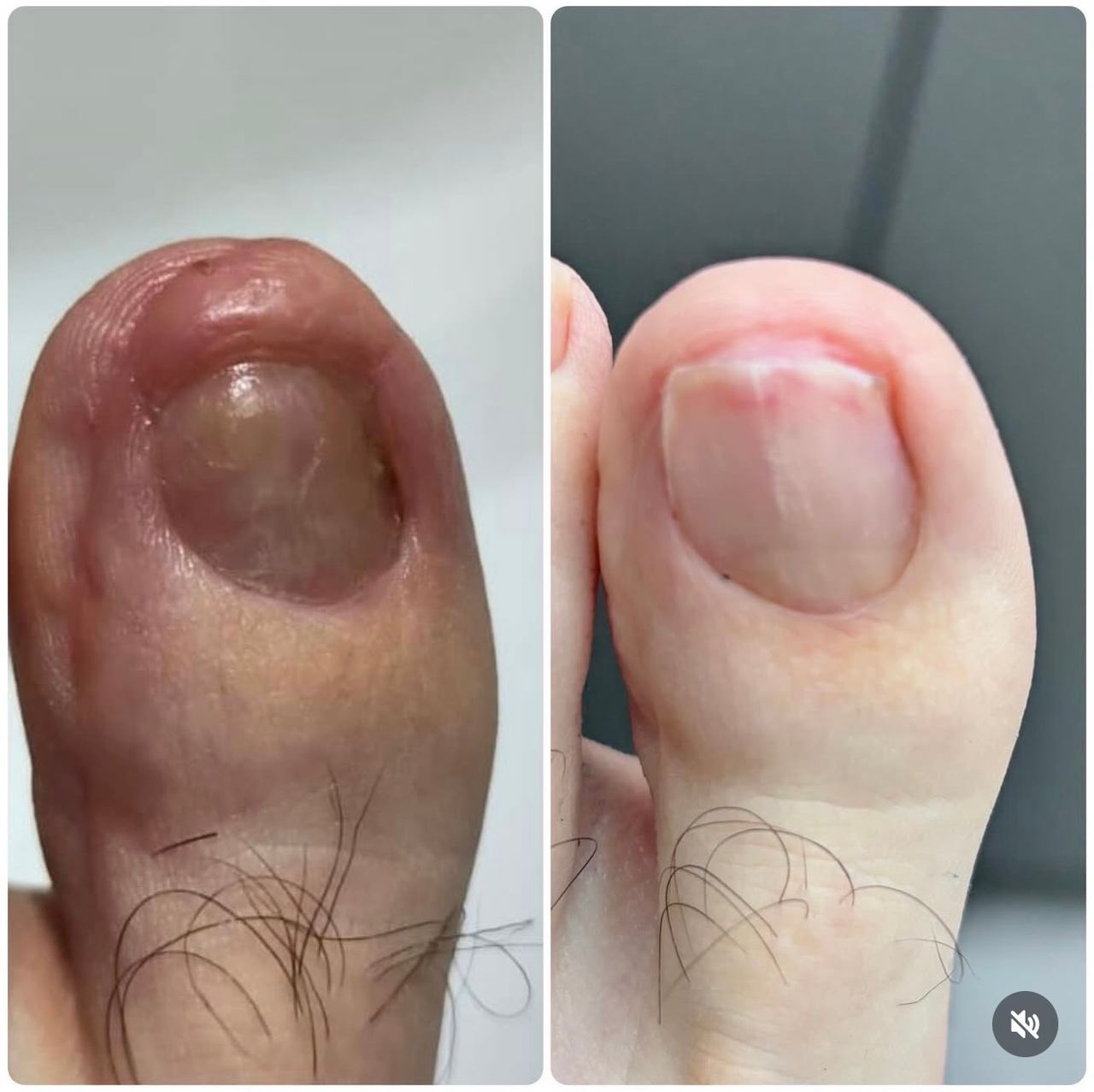 Laura Ortolá Esteve-1