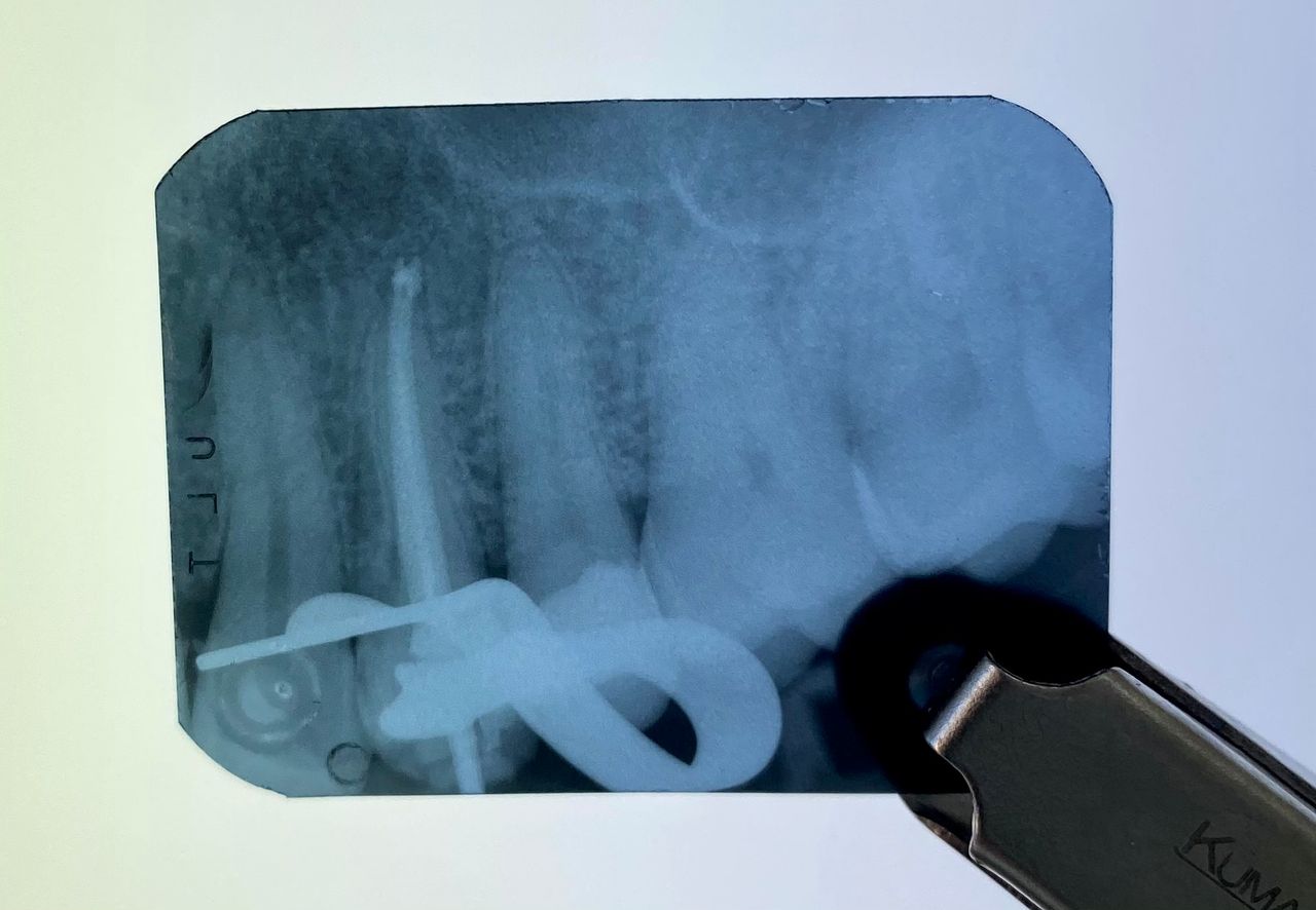 Maria Grazia Diaferia-24