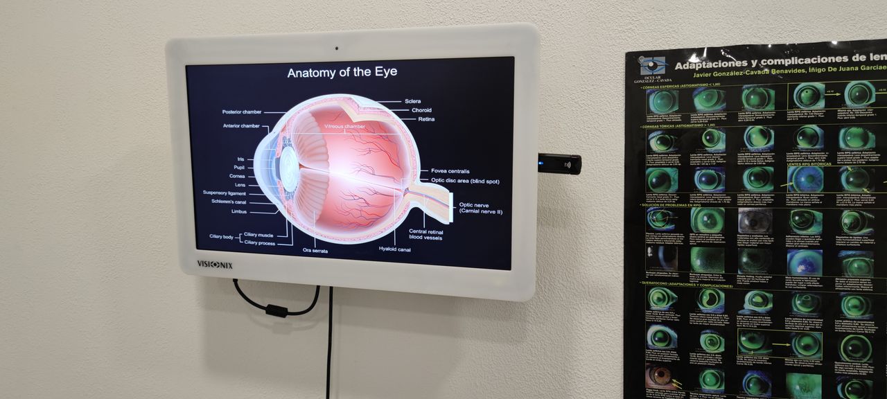 Daniel Denuc Calvo-1