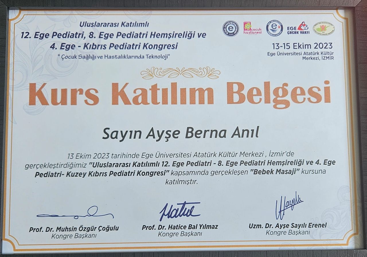 Ayşe Berna Anıl-47