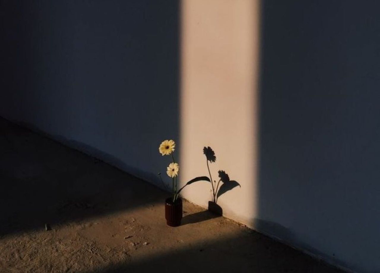 Claudia Muñoz Montes-1