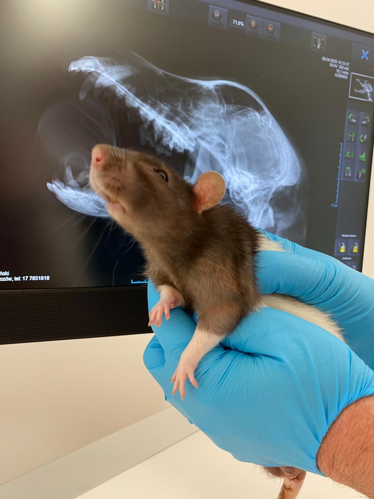 Radosław Fedaczyński-28