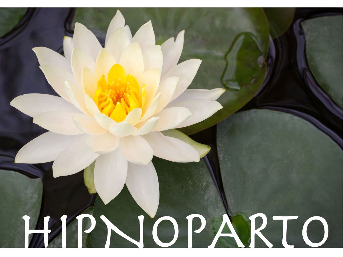 Carme Gómez-Coronado Cáceres-3