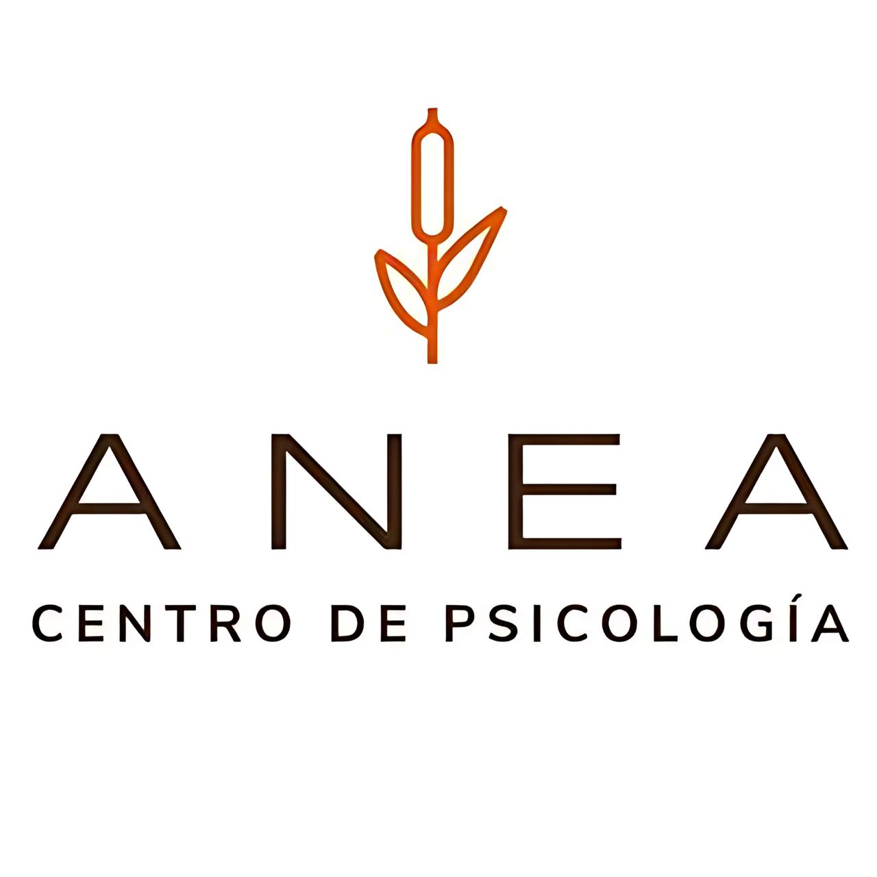 Marina Peñas Villa-0