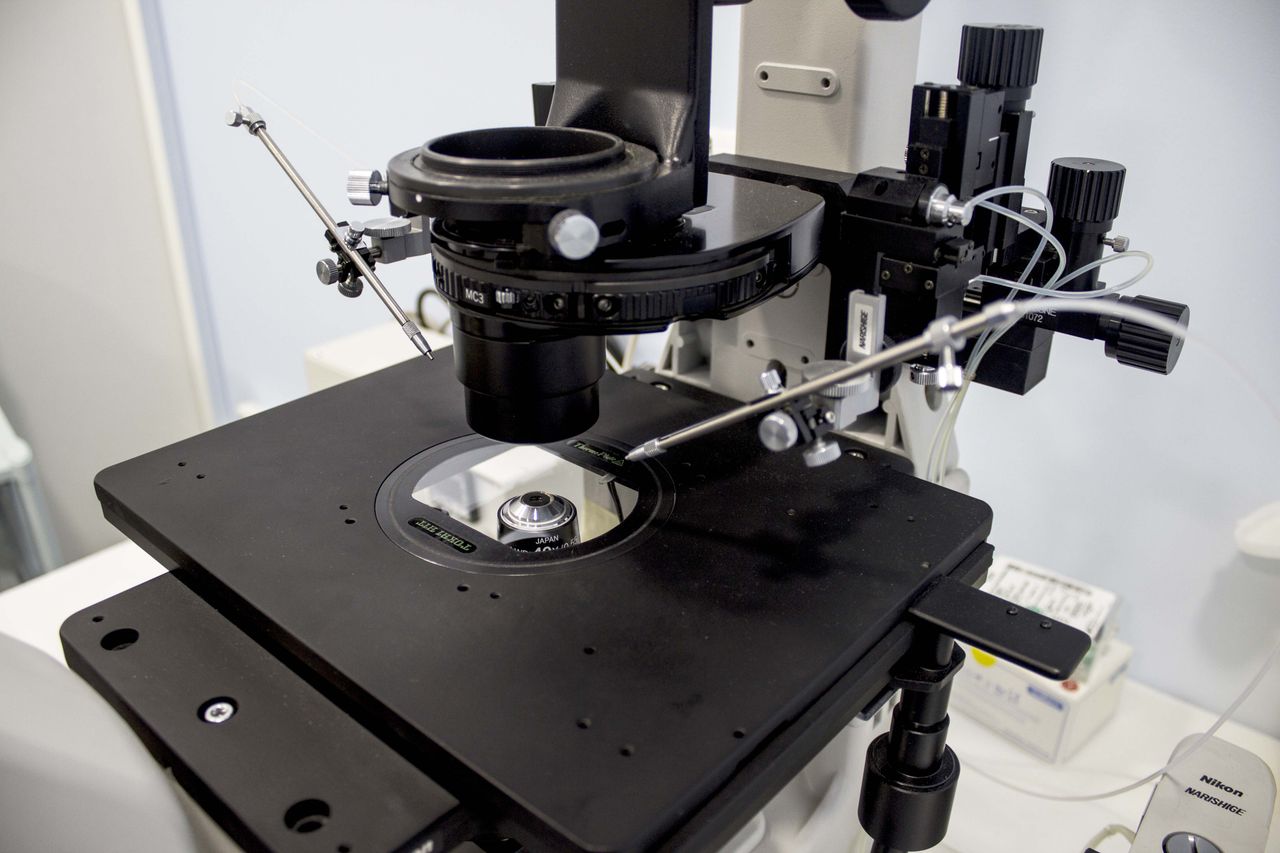 Jorge Alonso Zafra-6