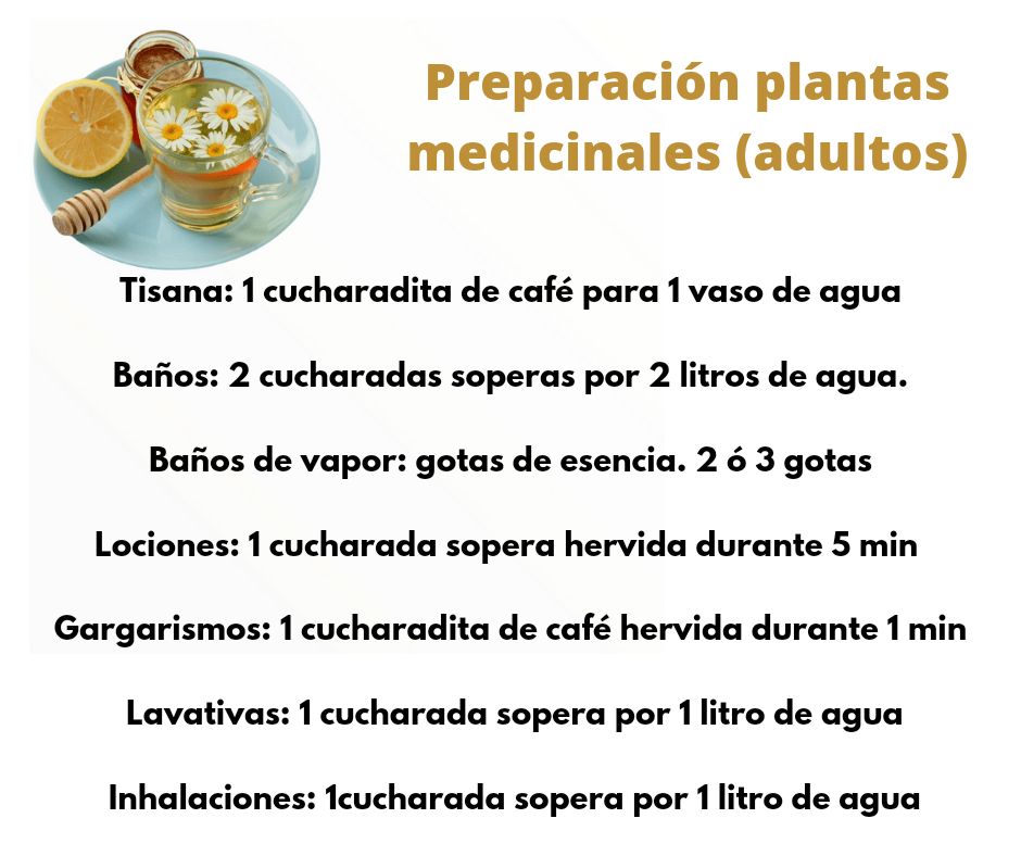 Beatriz Beltran Jordá-28