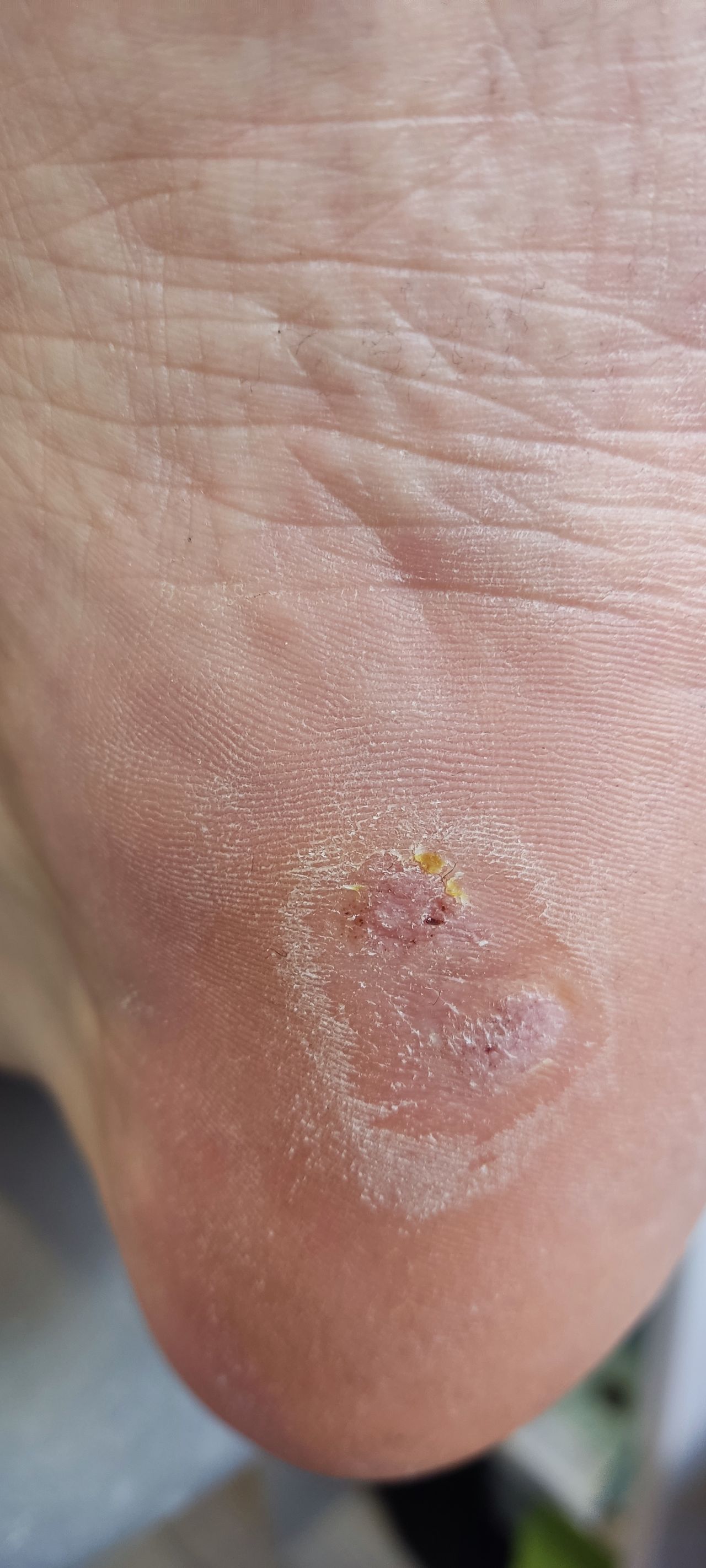 Patricia Lopez Olivera-1