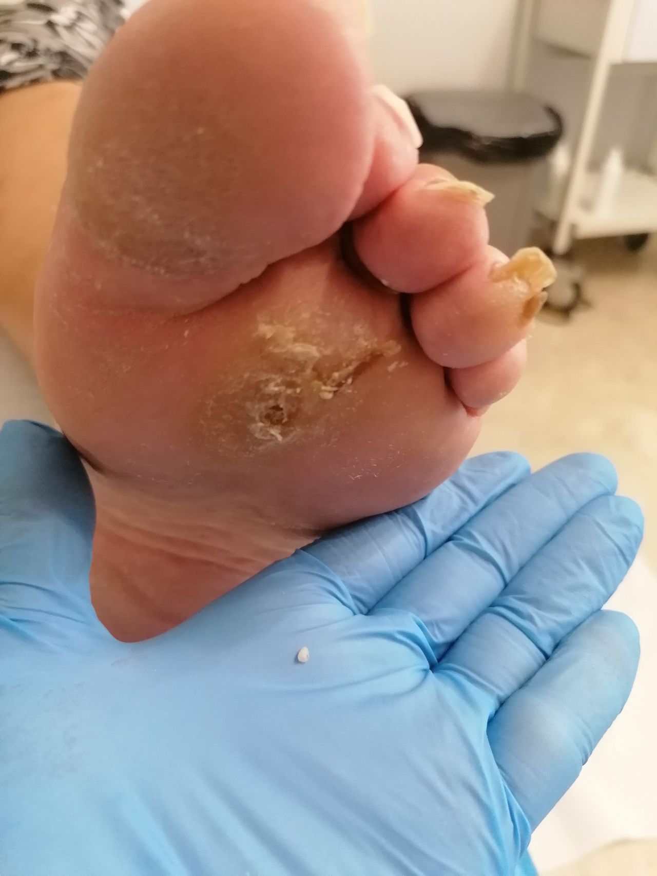 Kassandra Nicolosi-308