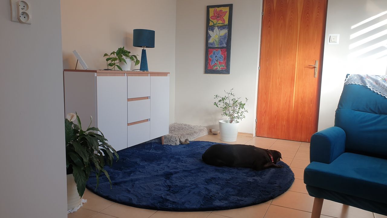 Dagmara Mrozowska-16