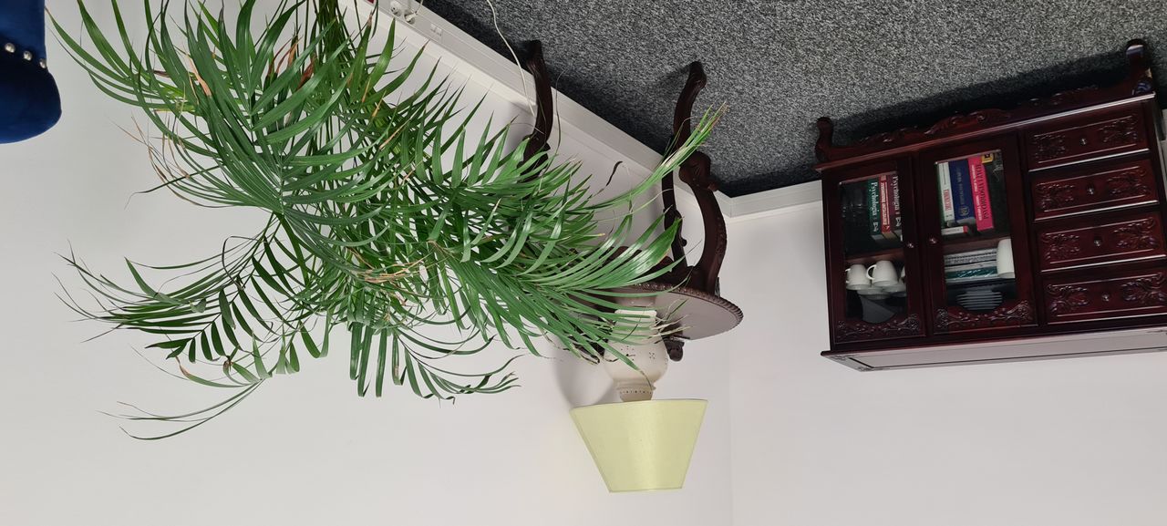 Andzelika Białecka-1